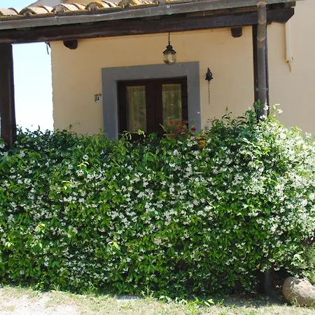 Tenuta Serpepe - Girasole 公寓 维泰博